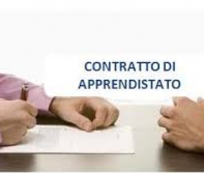 LINEE GUIDA PER LA DISCIPLINA PER IL CONTRATTO DI APPRENDISTATO PROFESSIONALIZZANTE | Studio Quero - Consulenza del Lavoro